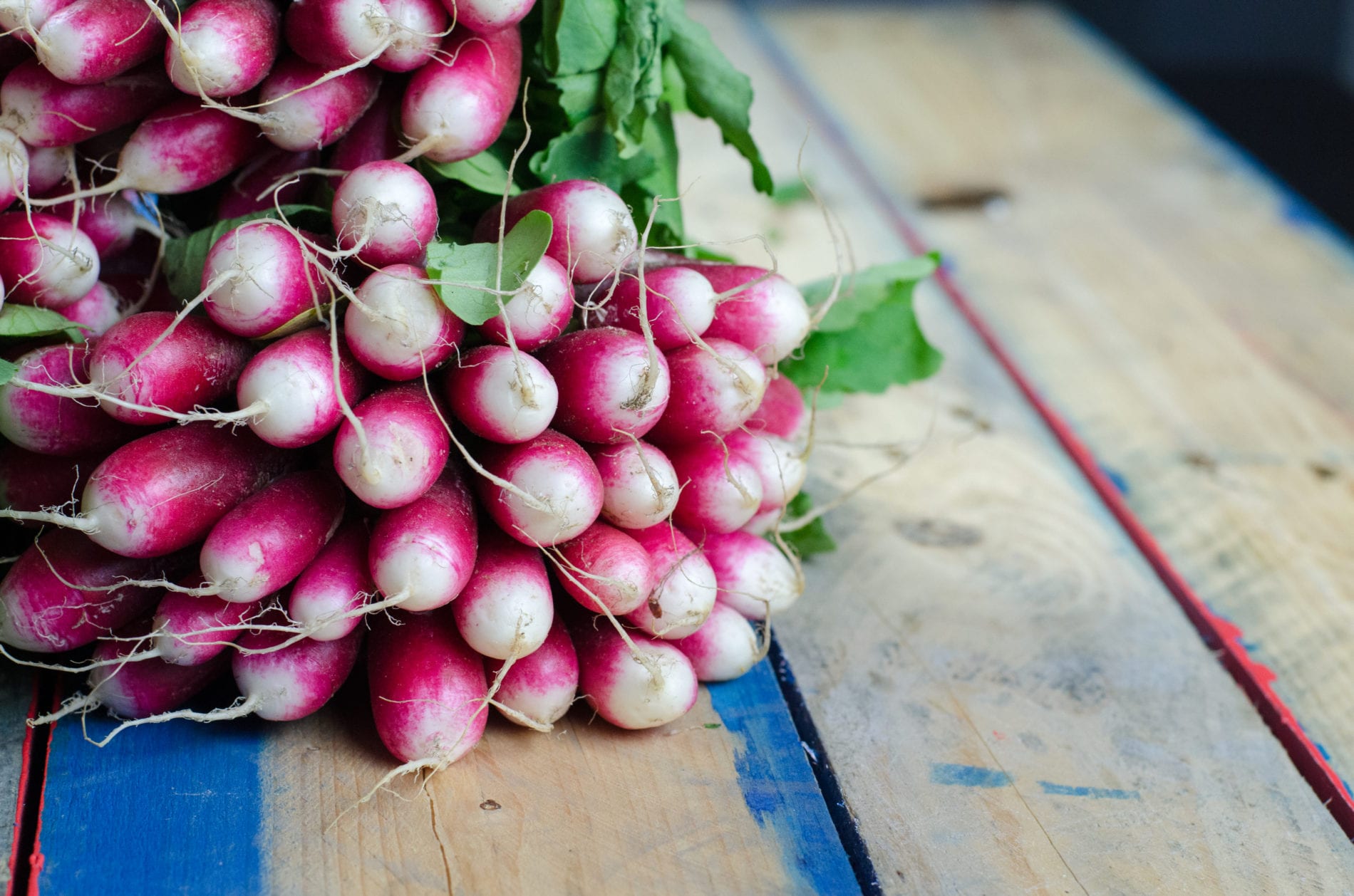 apple radish fennel