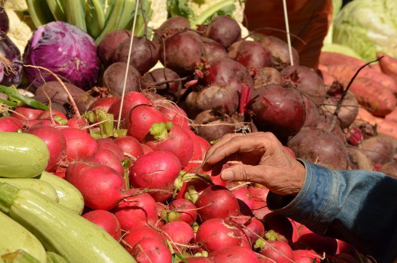 Radishes Beets Squash Stew