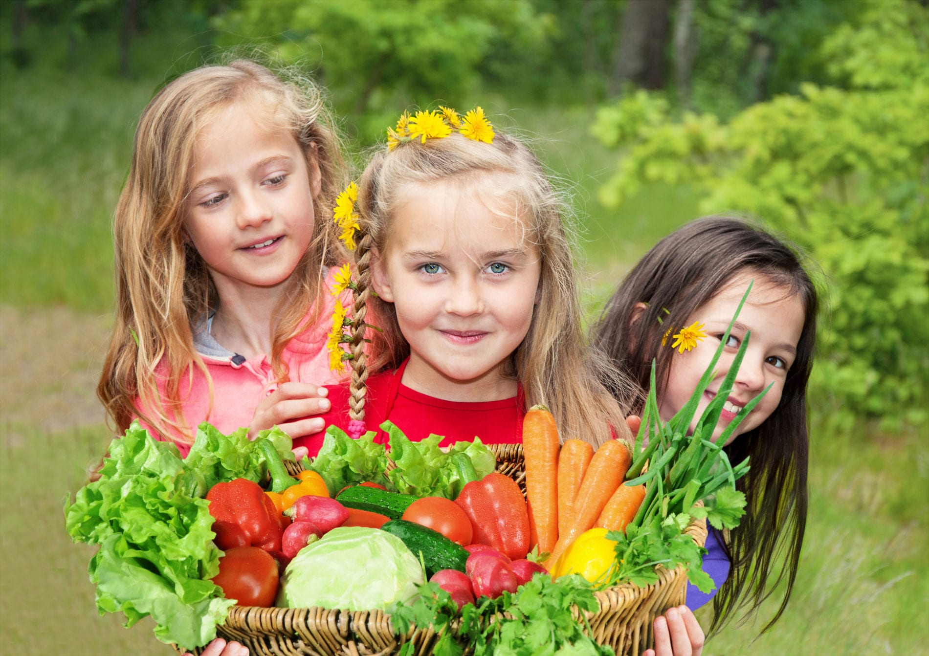Ways to Get Kids To Eat Vegetables