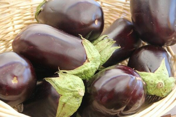 in-this-week's-harvest-Eggplant
