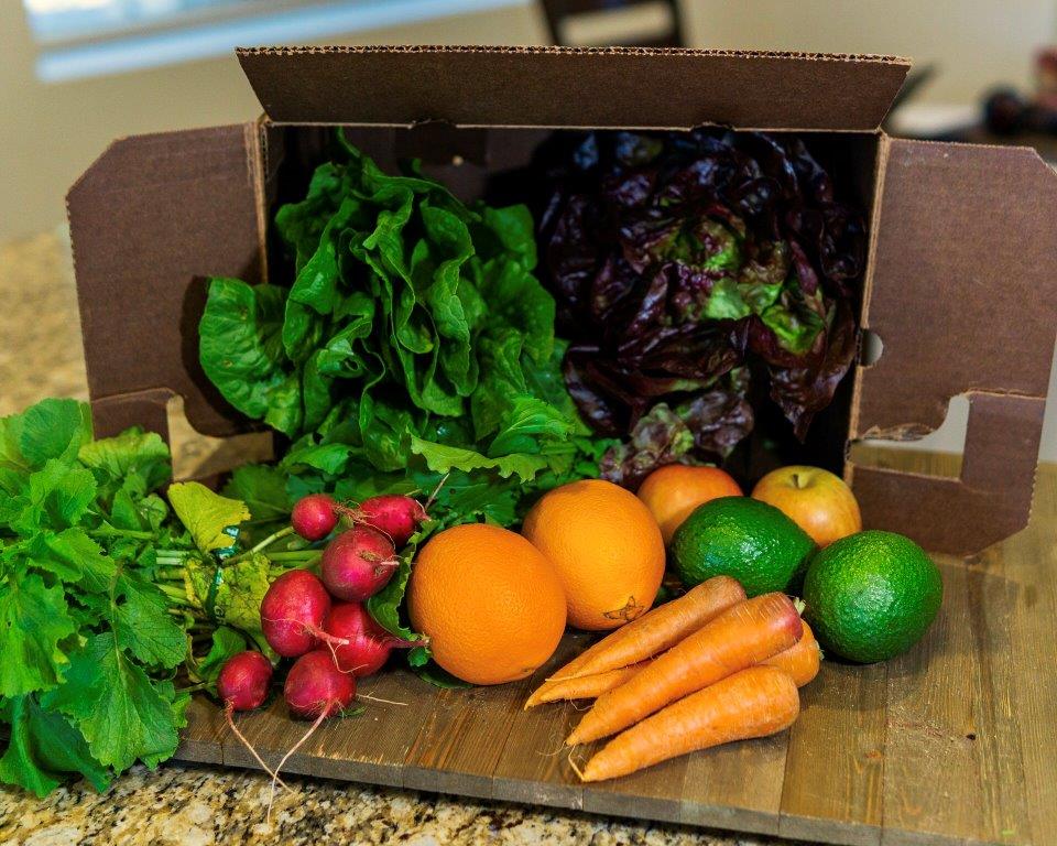 get the most out of your harvest box