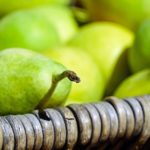 in-this-week's-harvest-Pears