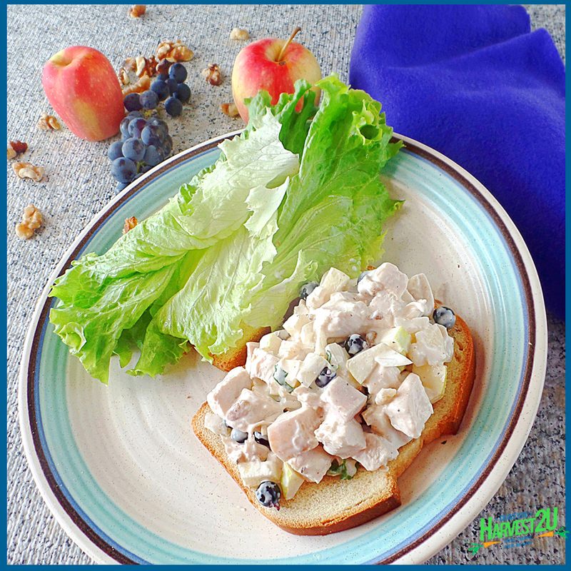 Waldorf Chicken Salad