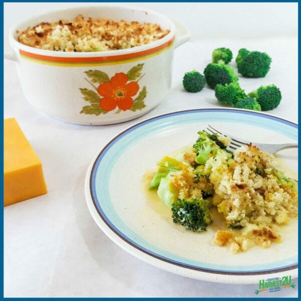 Broccoli Gratin Pairing Broccoli and Cheddar Cheese Harvest2U