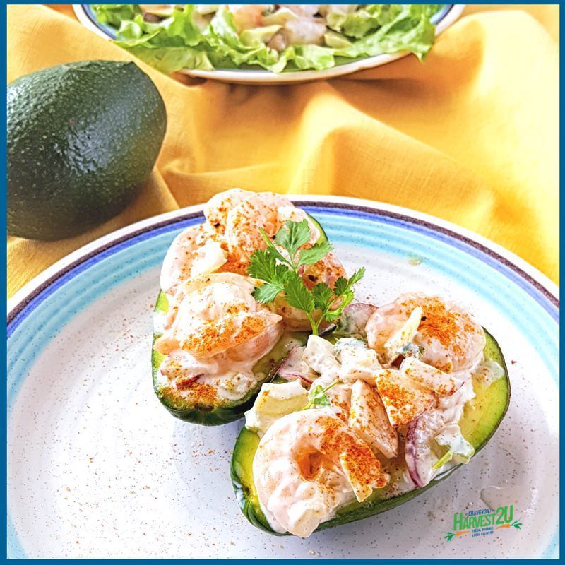 Shrimp and Avocado Salad