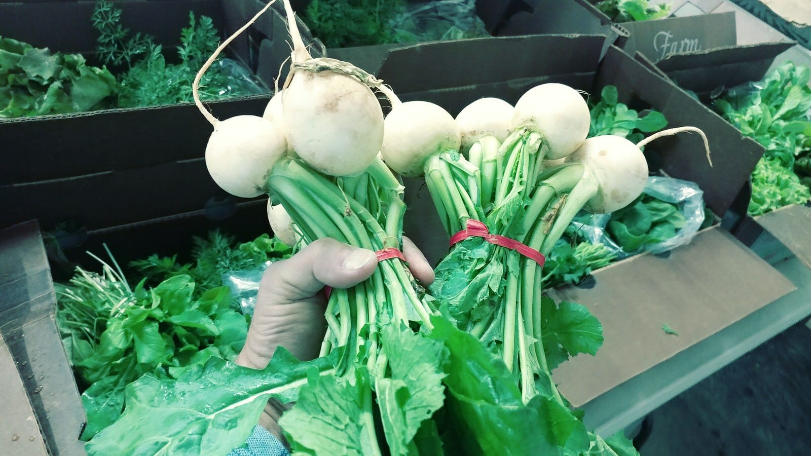 organic turnips