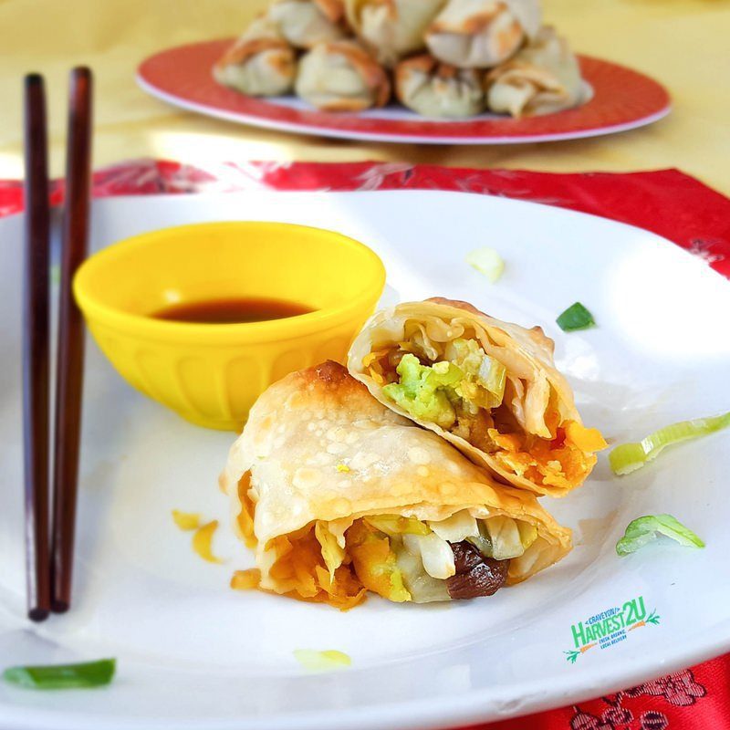 https://harvest2u.com/wp-content/uploads/2018/02/avocado-veggie-egg-rolls-sq.jpg