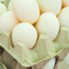 free range local duck eggs