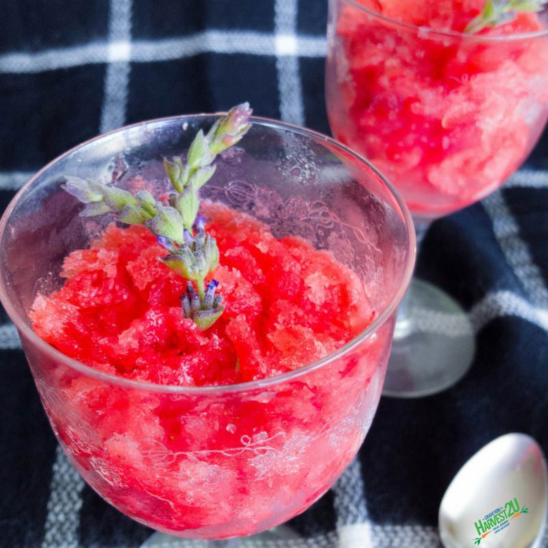 Strawberry Grapefruit Granita - A Light and Refreshing Treat - Harvest2U