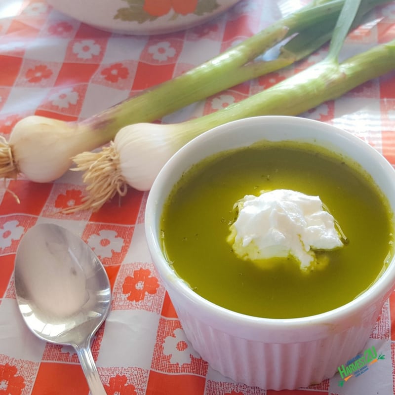 Spring Garlic Kale Soup