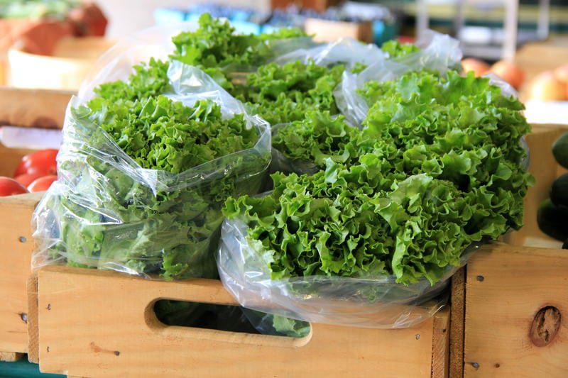 Storing Lettuce and Bagged Greens