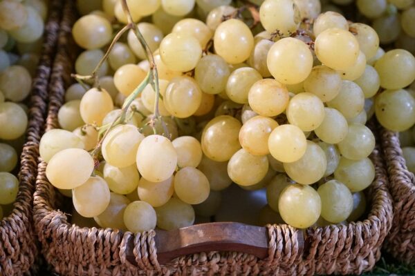 grapes seedless