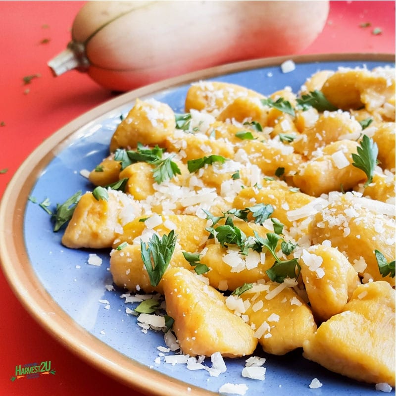 Butternut Squash Gnocchi