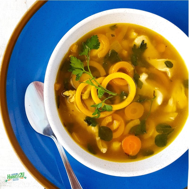 Low Carb Chicken Noodle Soup