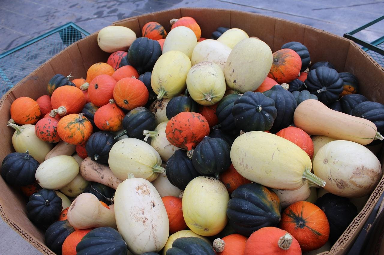 winter squash