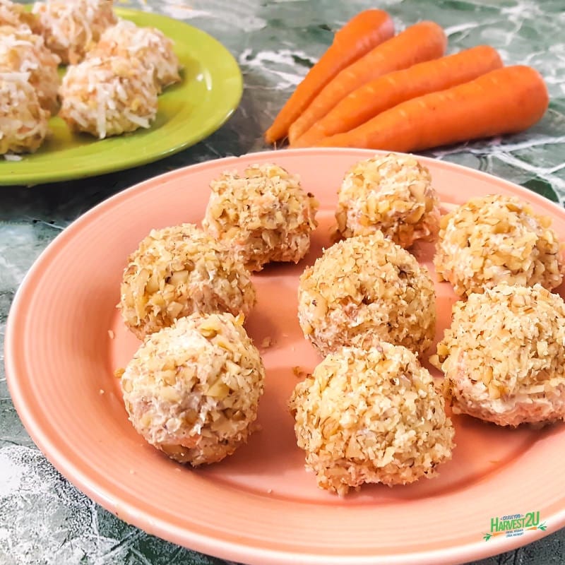 Low Carb Carrot Balls