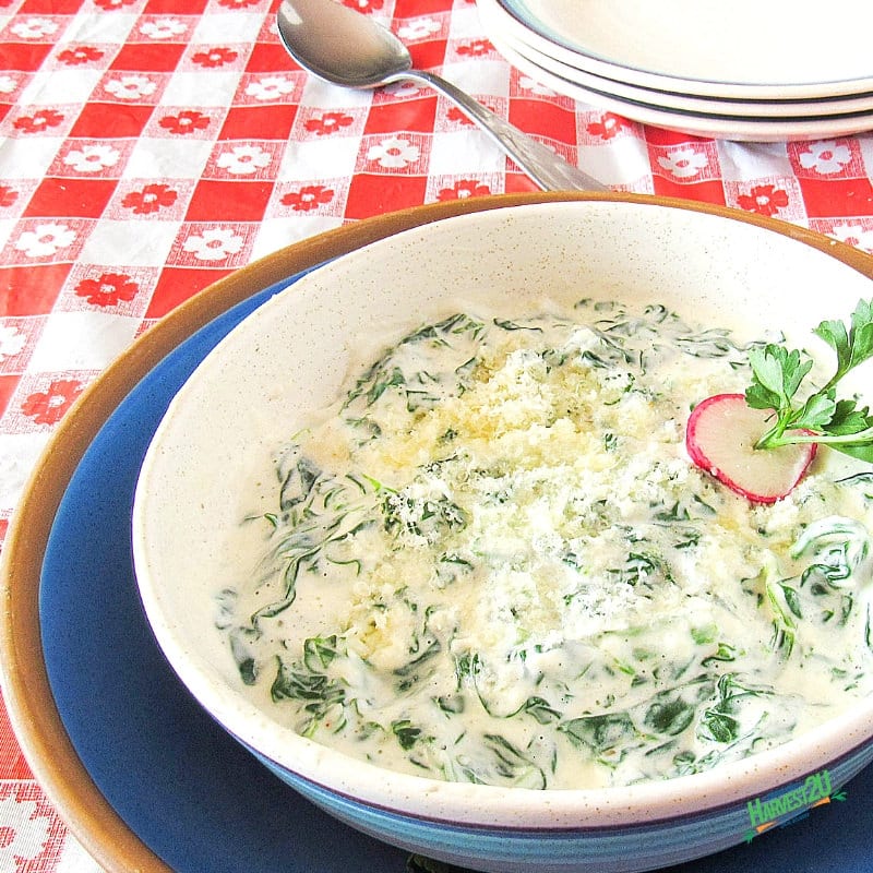 Low Carb Creamed Spinach