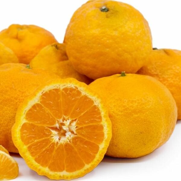 golden nugget mandarins