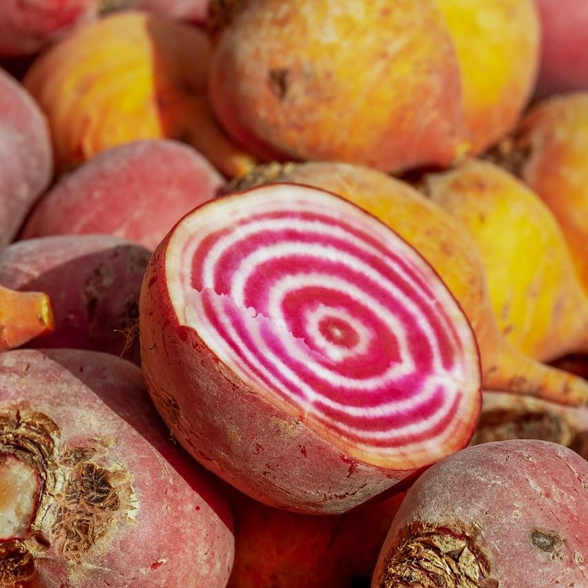 Beet Chioggia Harvest2u