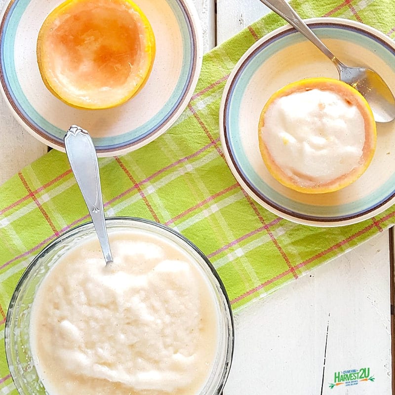 Grapefruit Sorbet