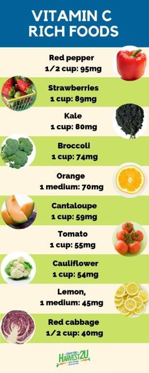 Vitamin C A Critical Component For Your Body Harvest2u