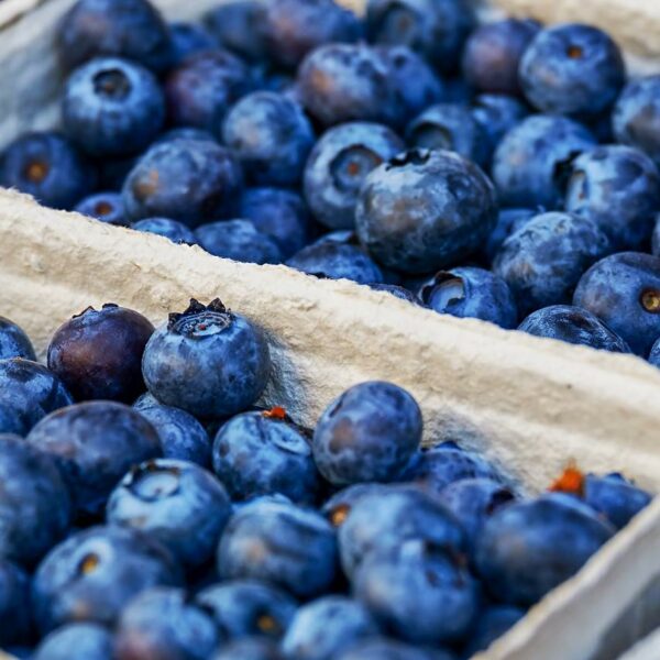 Blueberries