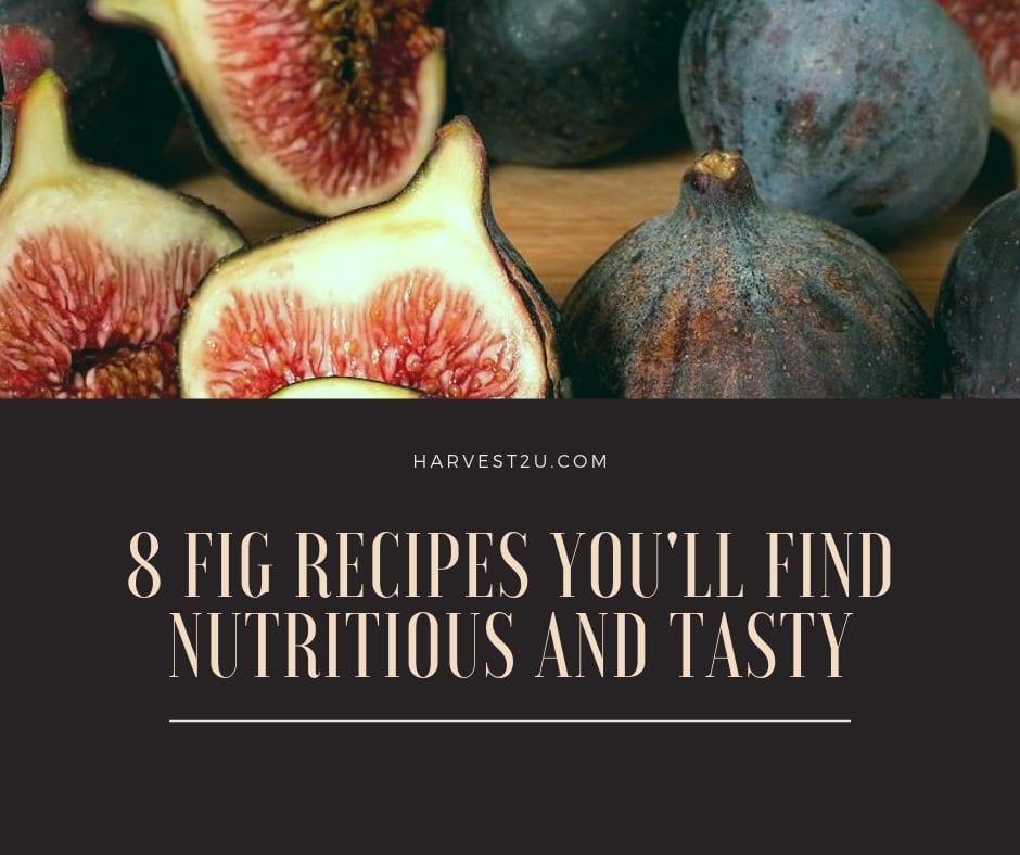 fig recipes