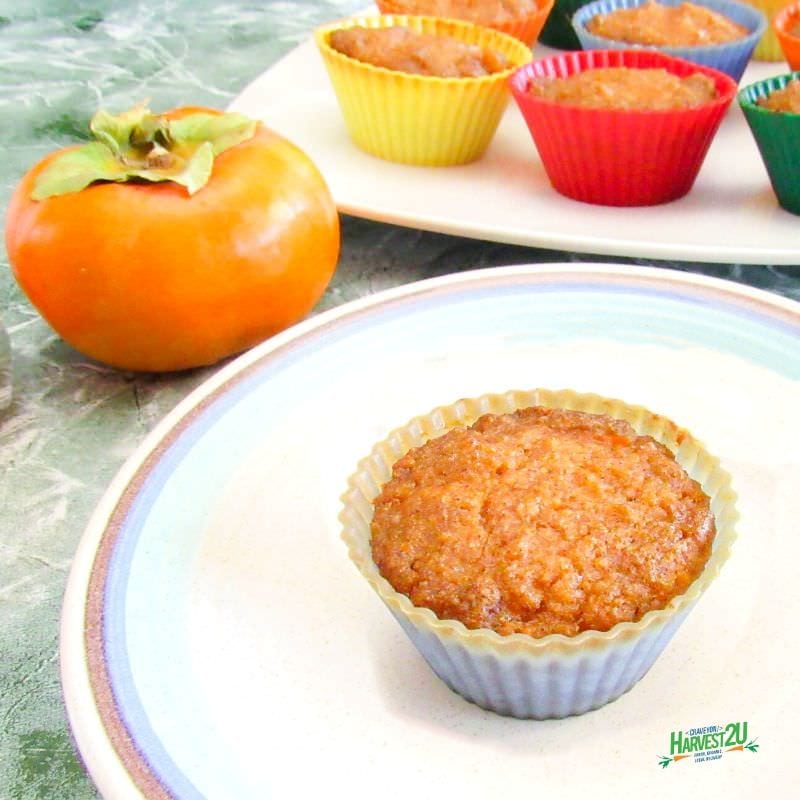 Maple Persimmon Muffins