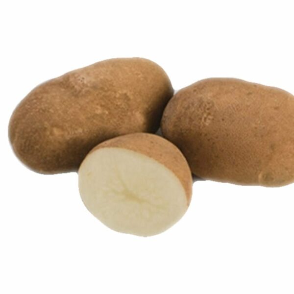 goldrush-potato