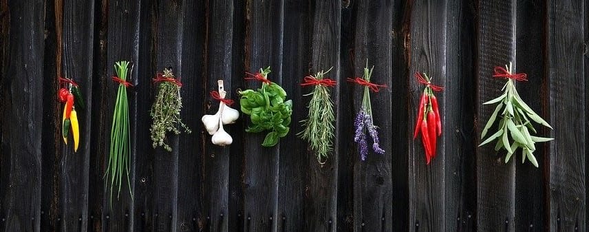 dehydrating herbs