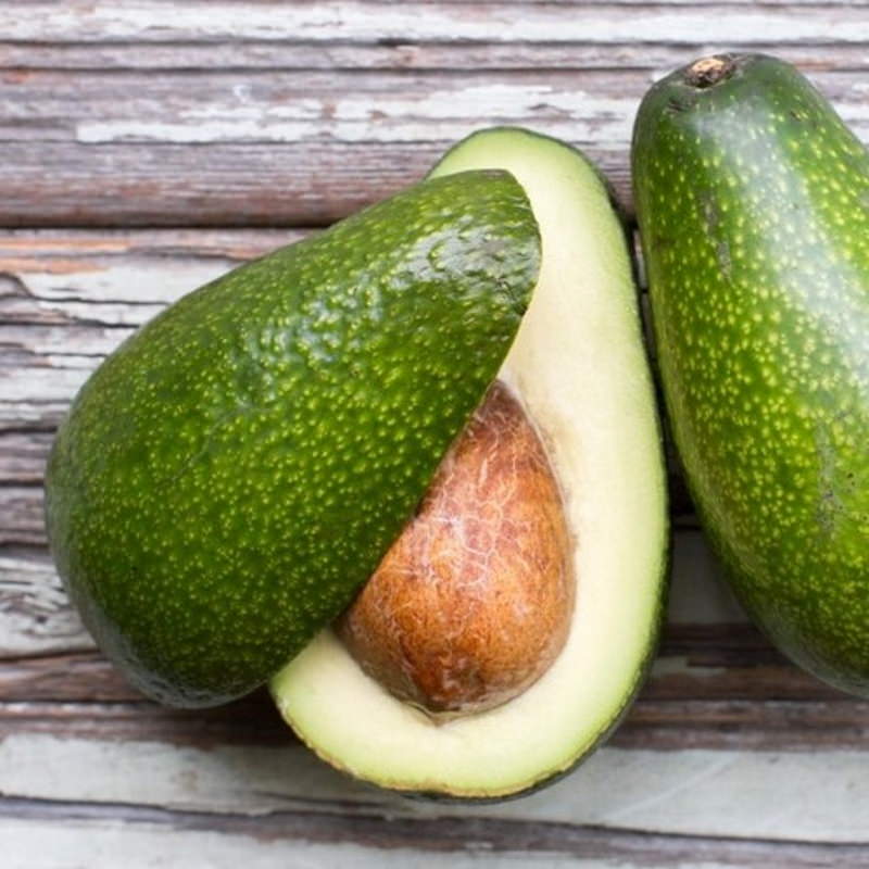 zutano avocado