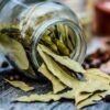 bay leaves