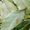 bay leaves