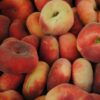 saturn peaches