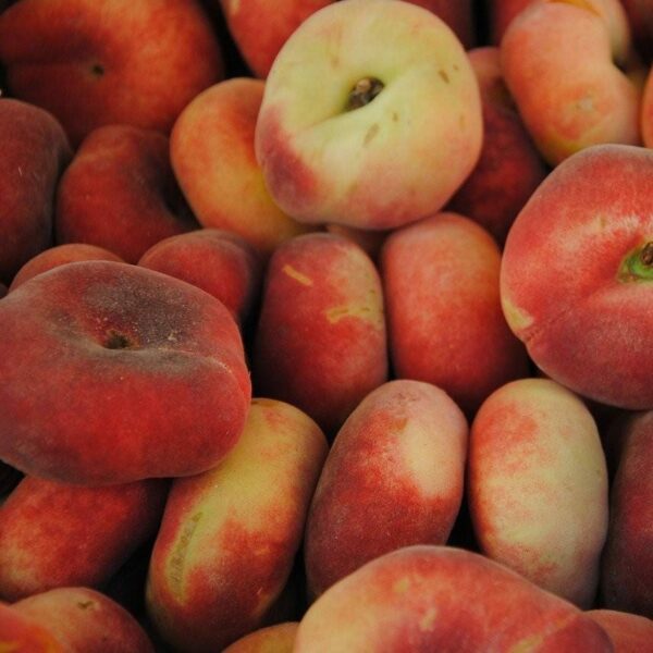 saturn peaches
