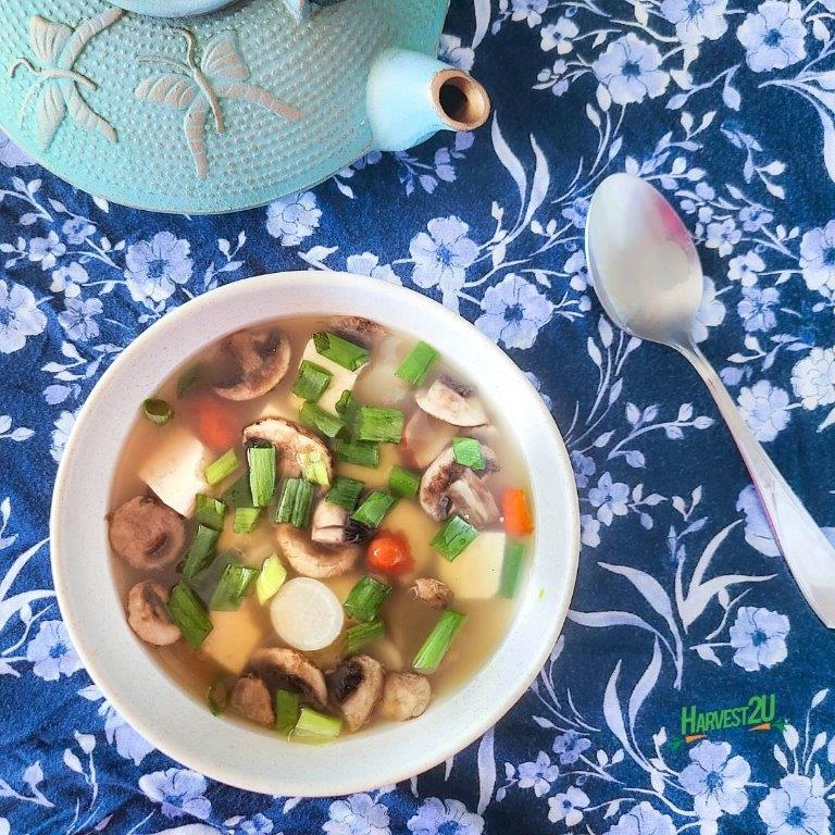 Daikon Radish Tofu Soup