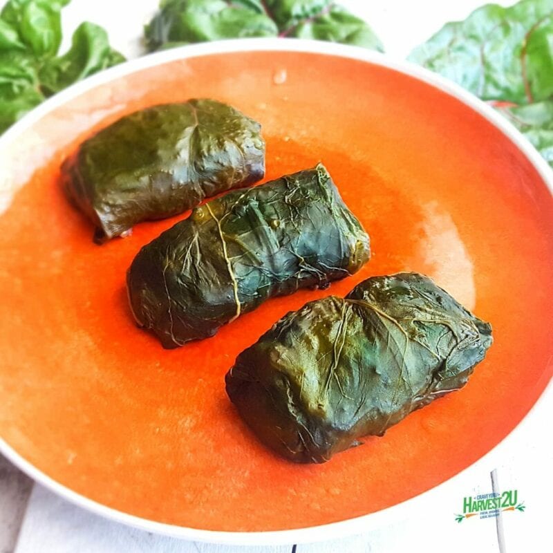 Swiss Chard Rolls