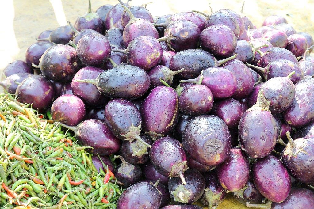 Blue and Purple Fruits and Vegetables - eggplant