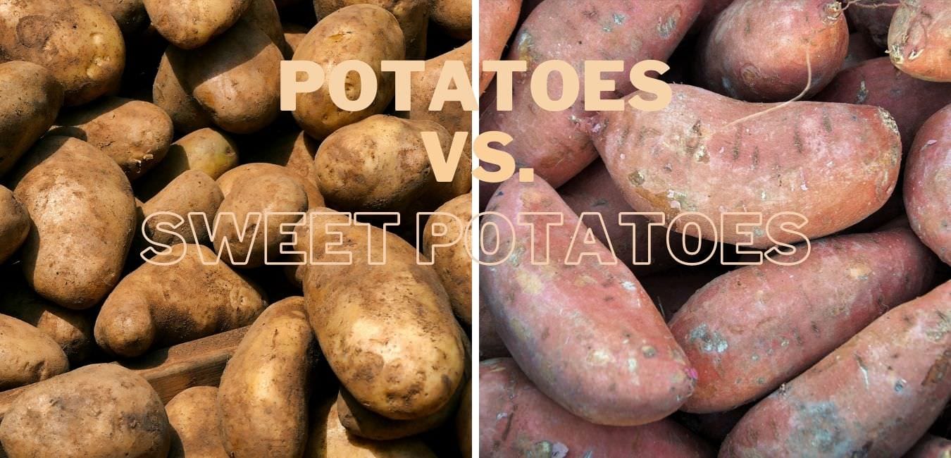Potatoes vs. Sweet Potatoes