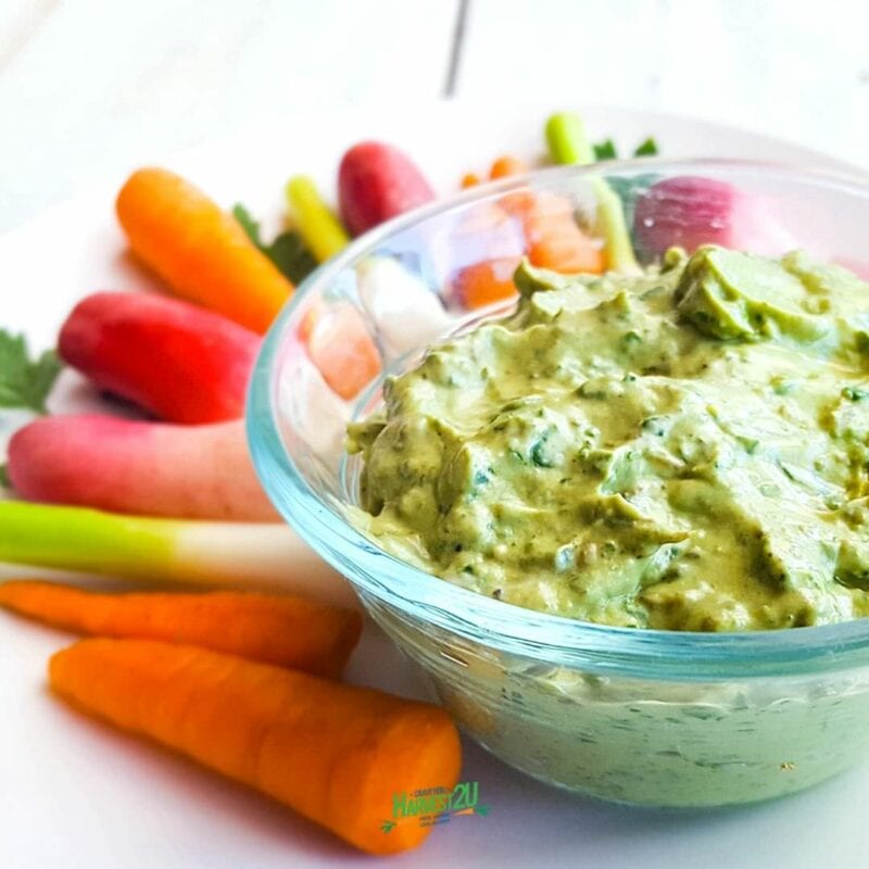 Avocado Yogurt Dip