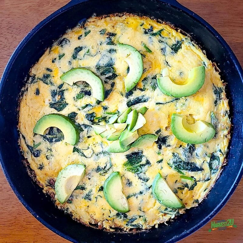 Spinach Shrimp Frittata