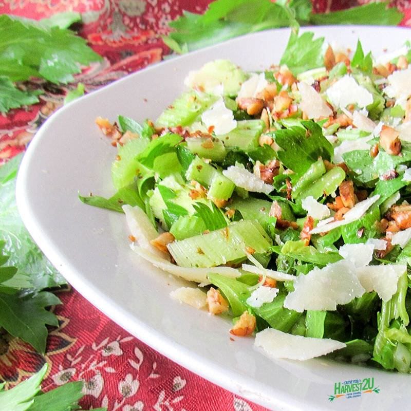 celery walnut salad