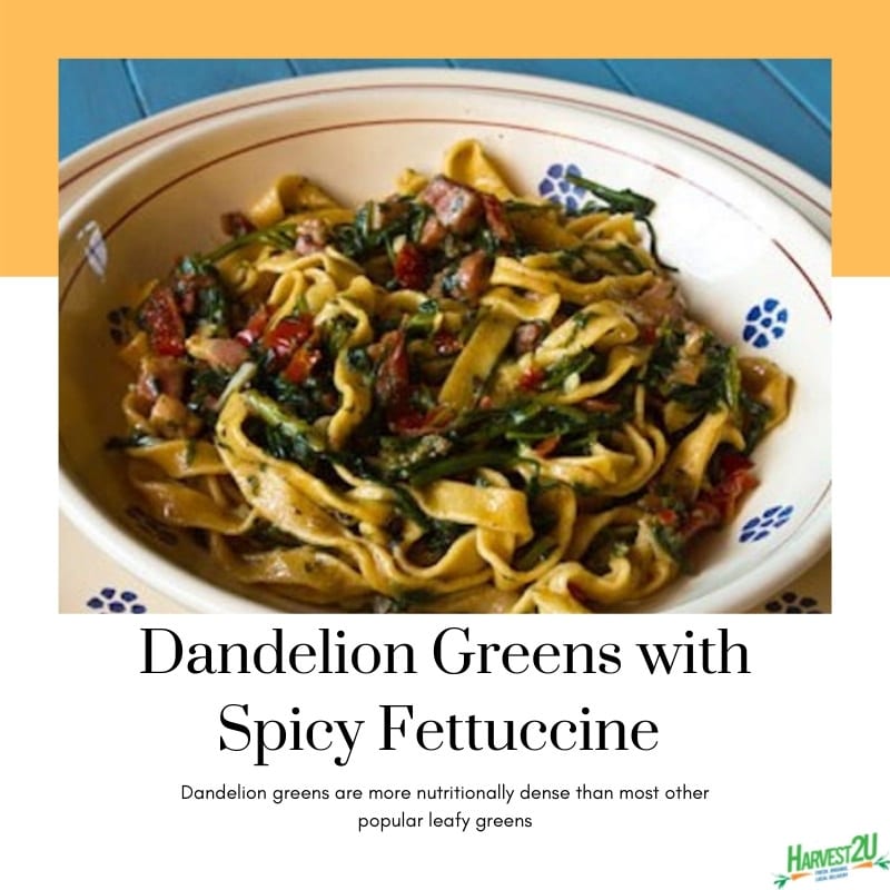 Dandelion Greens with Spicy Fettuccine