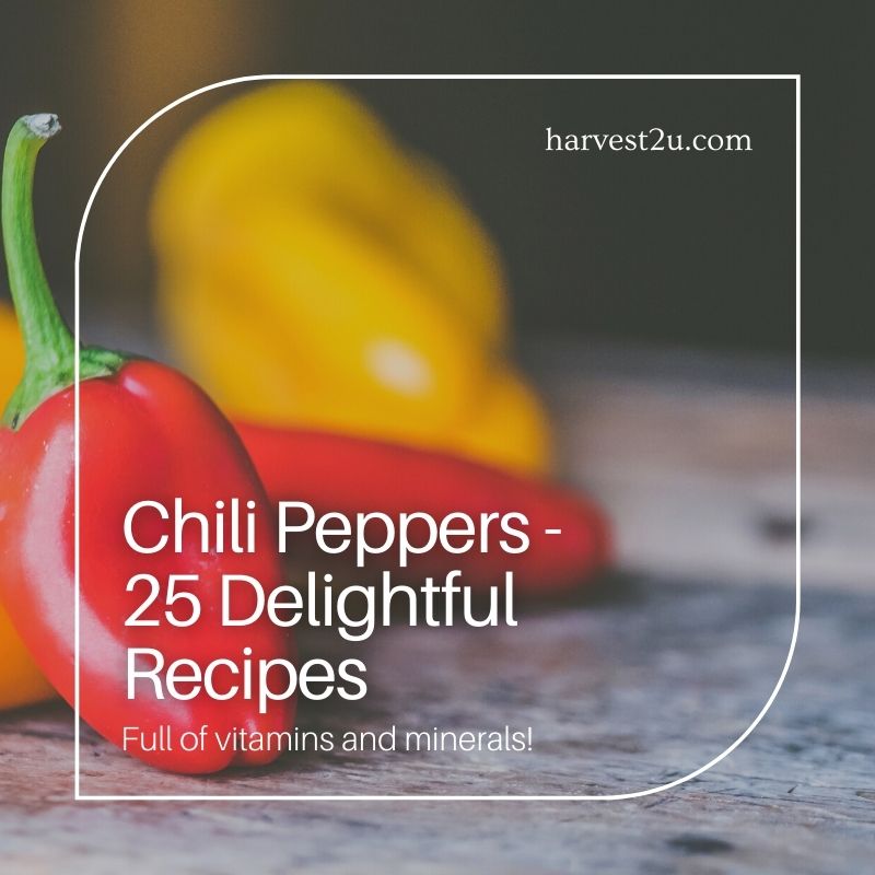 25 chili peppers recipes