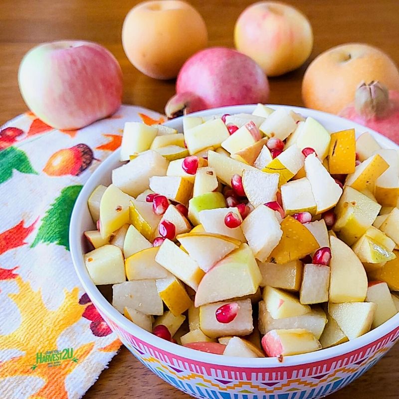 Honeyed Fall Fruit Salad