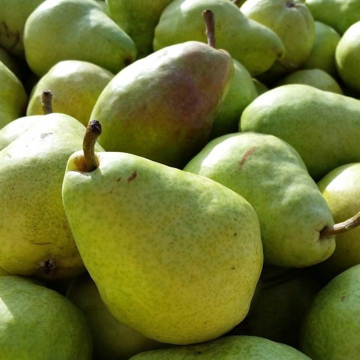 Buy Bartlett Pears 1 Lbs