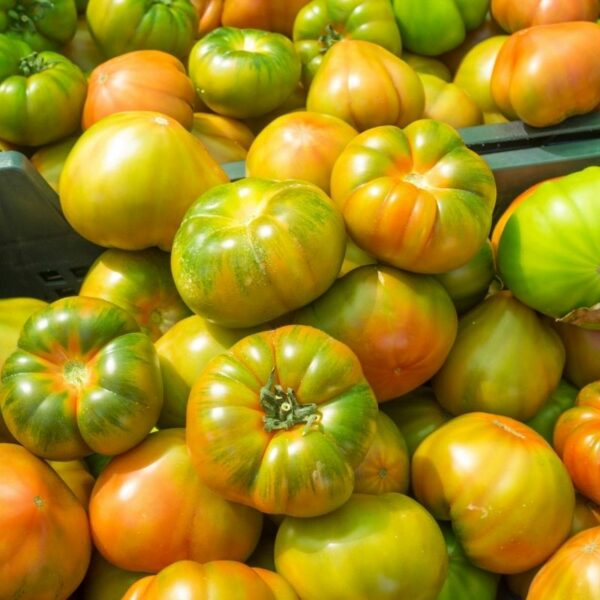 Green-tomatoes