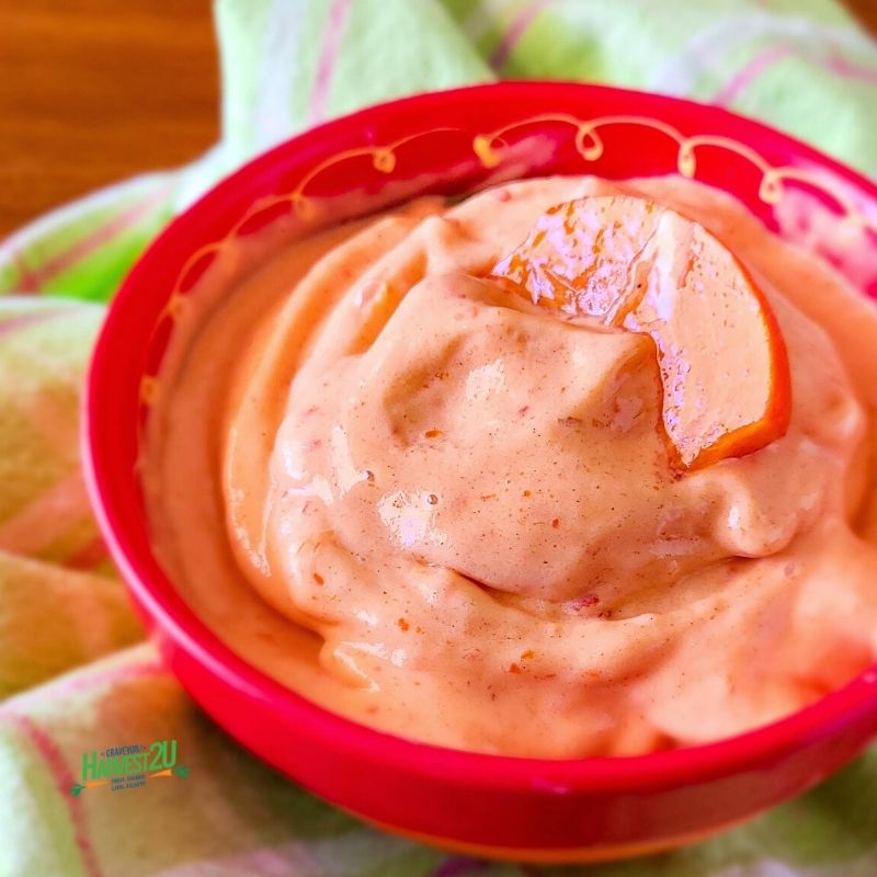 persimmon nice cream