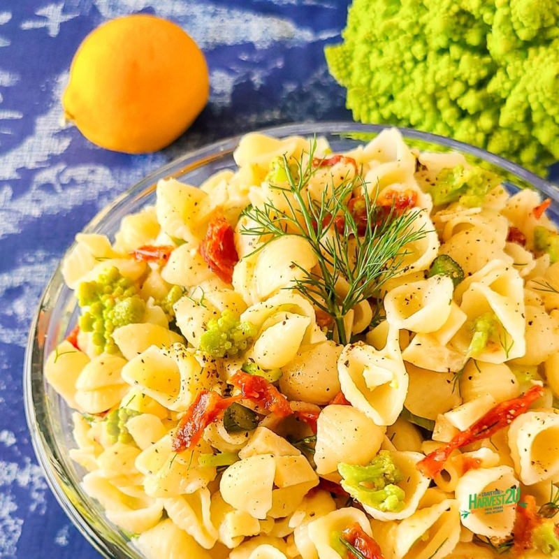 Lemon Romanesco Pasta Salad