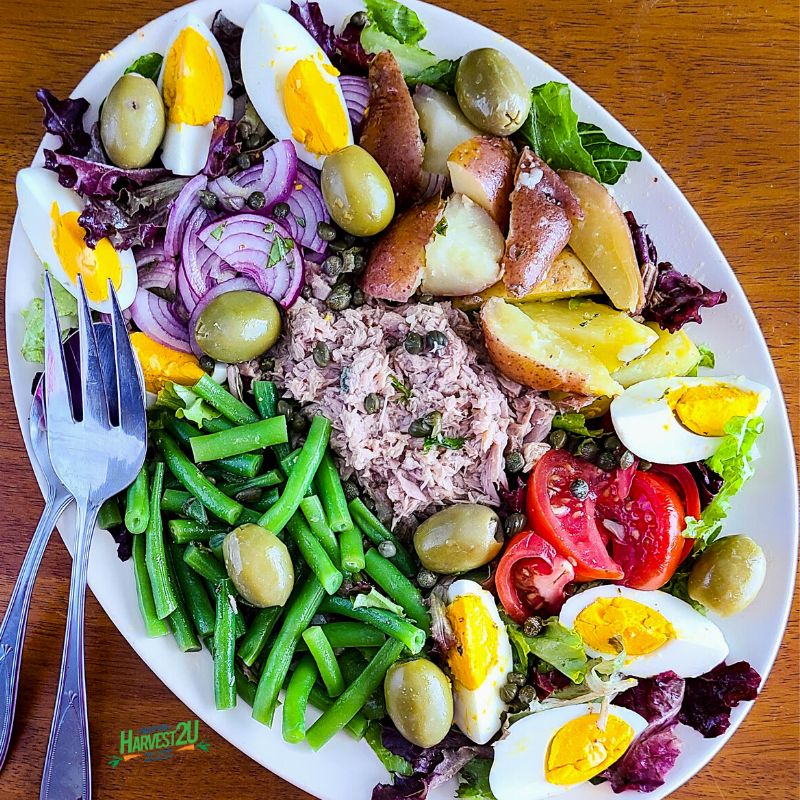 salad nicoise